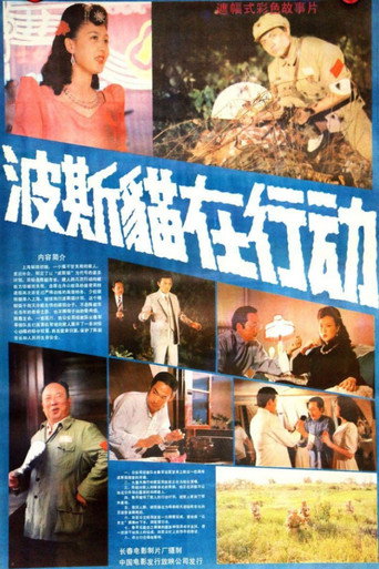 Persian Cat Is on Action movie poster