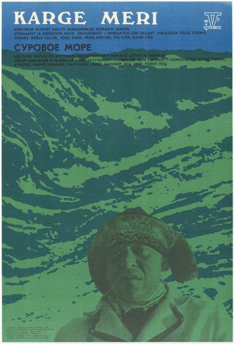 The Smacking Sea movie poster