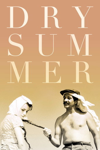 Dry Summer movie poster