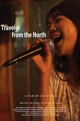 Traveler from the North movie poster
