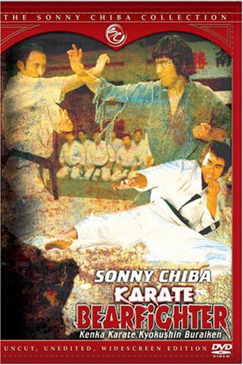 Karate Bear Fighter movie poster