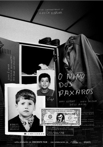 O niño dos paxaros movie poster