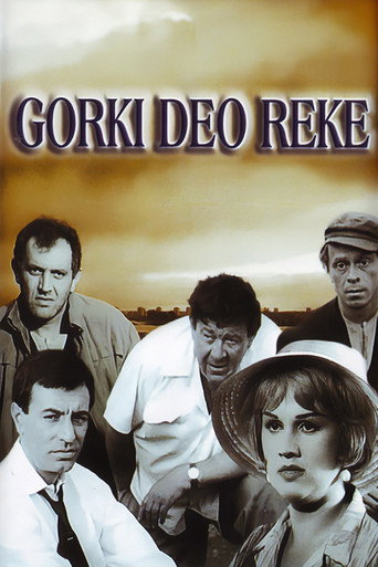 The Bitter Part of River movie poster