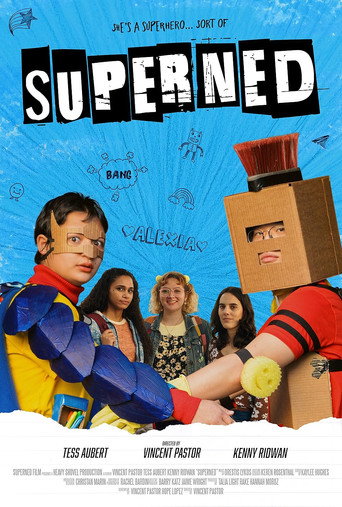 SuperNed movie poster