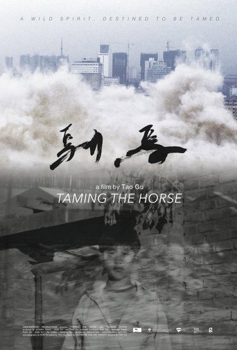 Taming the Horse movie poster
