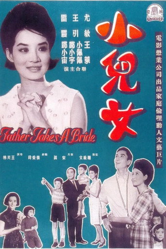Father Takes a Bride movie poster