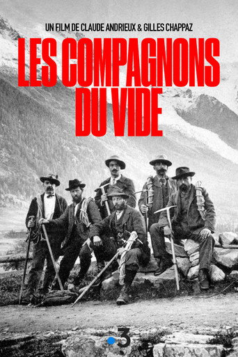 The Companions Of The Void movie poster