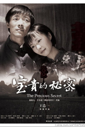 宝贵的秘密 movie poster