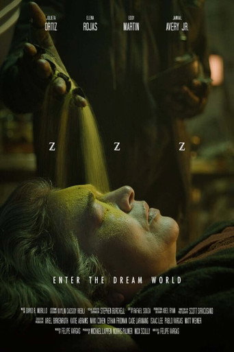 ZZZ movie poster