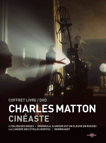Charles Matton visiblement movie poster