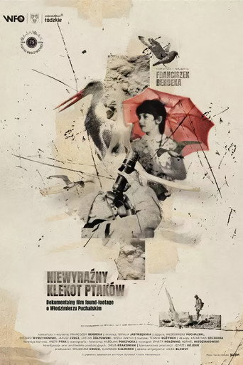 The Faint Clatter of Birds movie poster