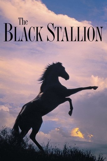 The Black Stallion movie poster
