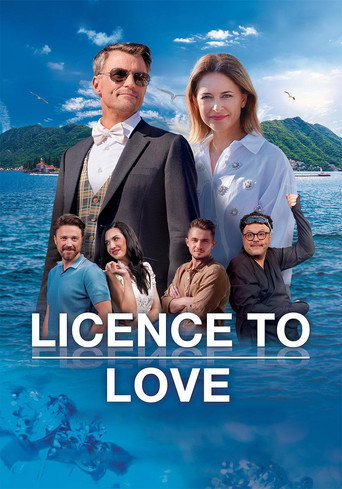 Licence to Love movie poster