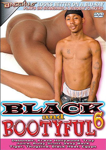 Black and Bootyful 6 movie poster