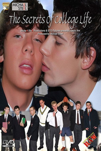 The Secrets Of College Life movie poster