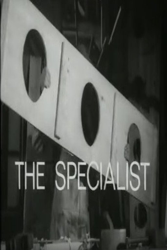 The Specialist movie poster