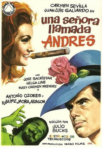A Lady Called Andrew movie poster