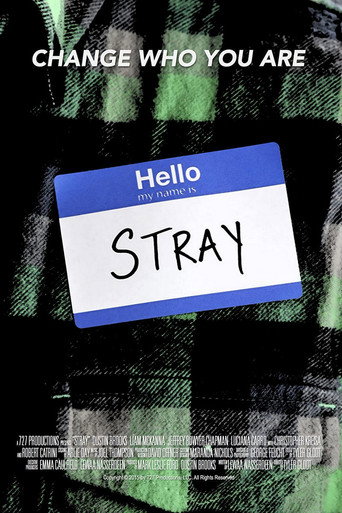 Stray movie poster