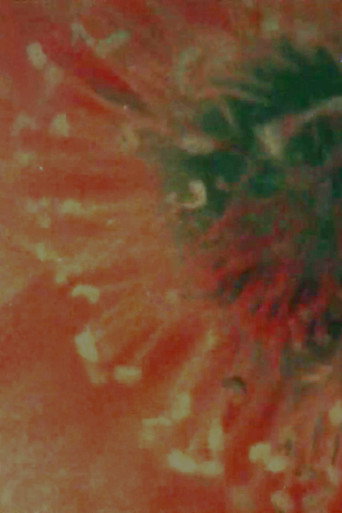 Flower Animation movie poster