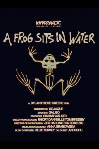 A Frog Sits In Water movie poster