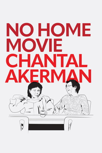 No Home Movie movie poster