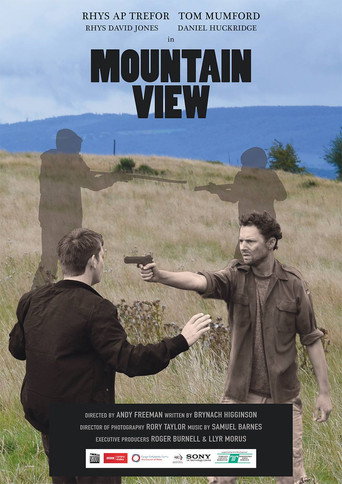 Mountain View movie poster