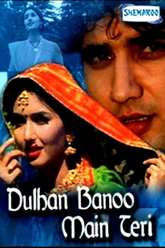 Dulhan Banoo Main Teri movie poster