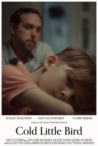 Cold Little Bird movie poster