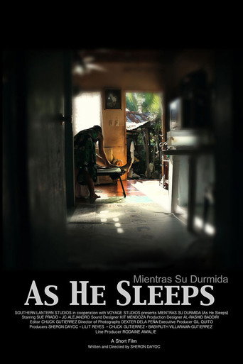 As He Sleeps movie poster