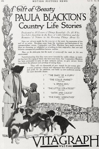 The Collie Market movie poster