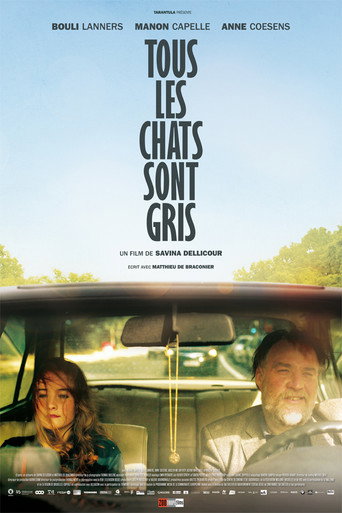 All Cats Are Grey movie poster