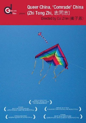 Queer China, 'Comrade' China movie poster