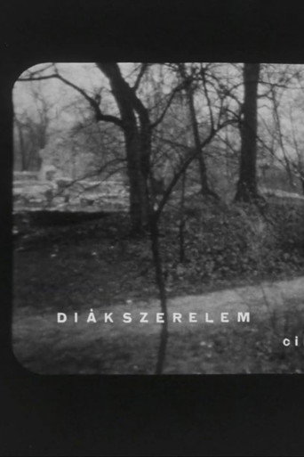 Diákszerelem movie poster