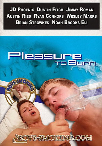 Pleasure to Burn movie poster
