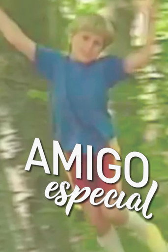 Special Friend movie poster