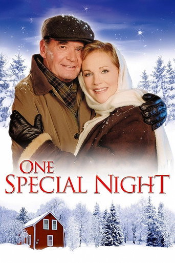 One Special Night movie poster