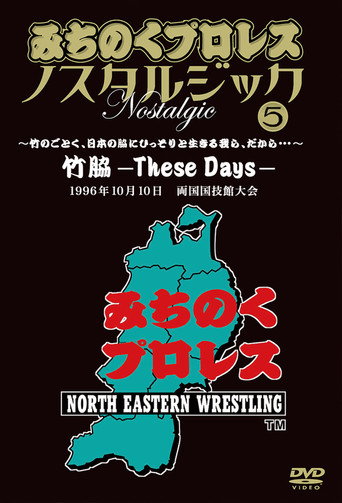 Michinoku Pro 3rd Anniversary: These Days movie poster