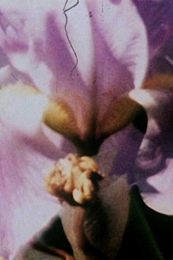 Fleurs sans titre movie poster