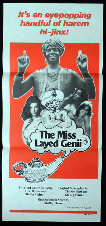 The Mislayed Genie movie poster