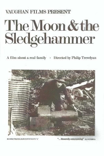 The Moon and the Sledgehammer movie poster