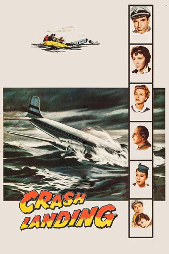 Crash Landing movie poster