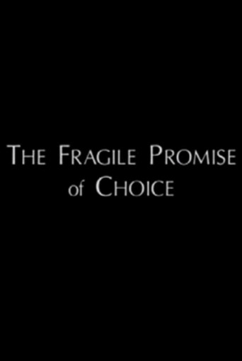 The Fragile Promise of Choice movie poster