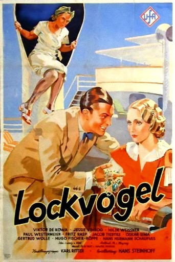 Decoy movie poster