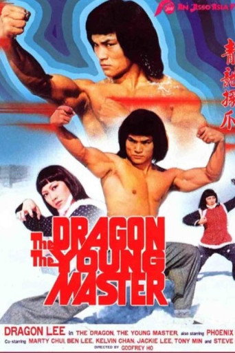 Dragon, the Young Master movie poster