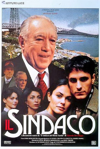 The Mayor movie poster