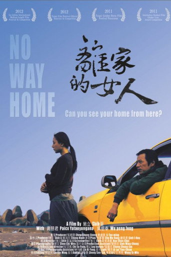 No Way Home movie poster