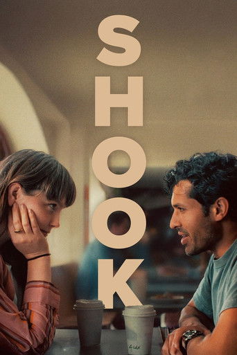 Shook movie poster