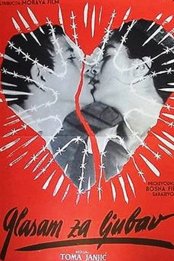 I Vote for Love movie poster