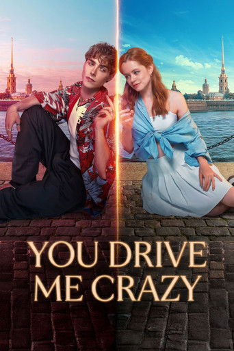 You Drive Me Crazy movie poster