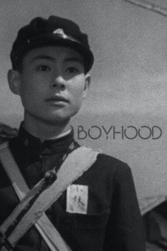 Boyhood movie poster
